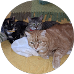 Profile photo of Jan Normand