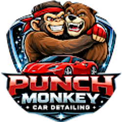 Profile photo of PunchMonkey Detailing