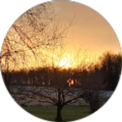 Profile photo of seeker of truth.