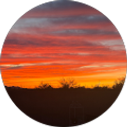 Profile photo of Fahim Doost