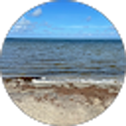 Profile photo of Trish Ferrell
