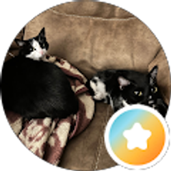 Profile photo of J Drake