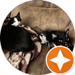 Profile photo of J Drake