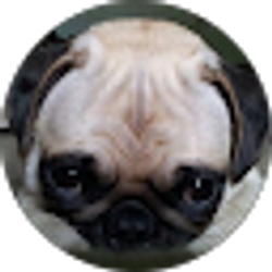 Profile photo of Katie Manke
