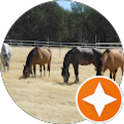 Profile photo of Chowboy “Chowboy” H.