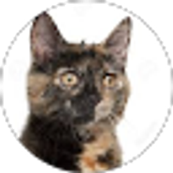 Profile photo of Melanie Cockrum