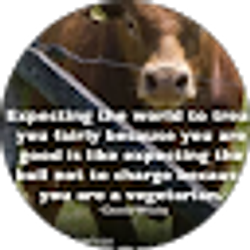 Profile photo of Neal Wright