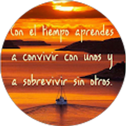 Profile photo of Beny Castro