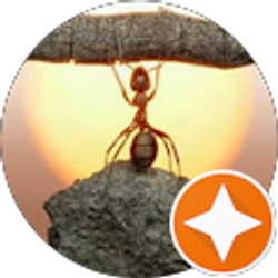 Profile photo of Aurora Malpica