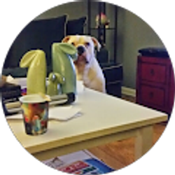 Profile photo of Matt Man