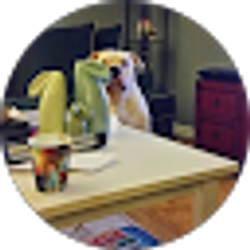 Profile photo of Matt Man