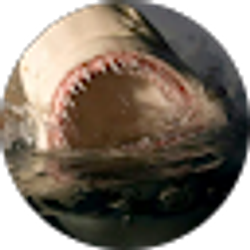 Profile photo of Travis Blackistone