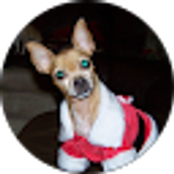 Profile photo of Pat Drake