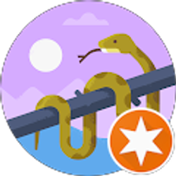 Profile photo of F M