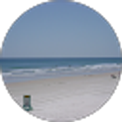Profile photo of Norms C