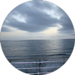 Profile photo of Kim Strayer