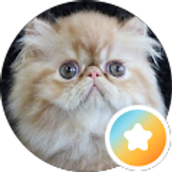 Profile photo of Andria L