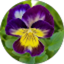 Profile photo of A. Acosta