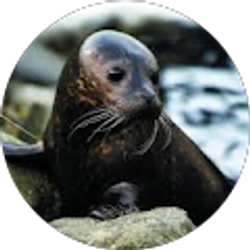 Profile photo of Madi Palmer