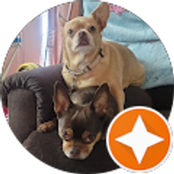 Profile photo of Louie Diaz