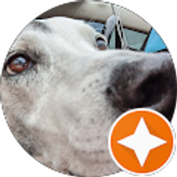 Profile photo of Justin Birch