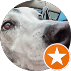 Profile photo of Justin Birch