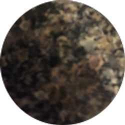 Profile photo of Ty Pittenger