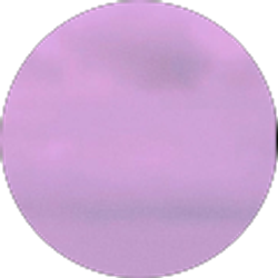 Profile photo of Michelle Alvarez Garcia