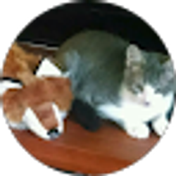 Profile photo of Terry Peters