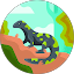 Profile photo of Bg8