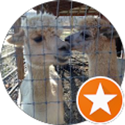 Profile photo of Subscribed Mail