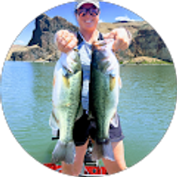 Profile photo of Melissa D