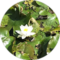 Profile photo of Tara Dempster