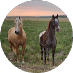 Profile photo of Amy Mutchie