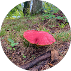 Profile photo of Larry Sockrider