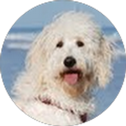 Profile photo of Laurie Mitchell