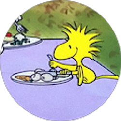 Profile photo of Adam Khafaja