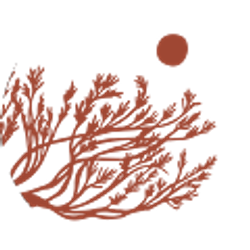 Profile photo of Kiamesha Wray