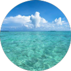 Profile photo of Harmony Lacasse