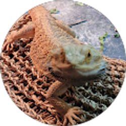 Profile photo of April Higgins