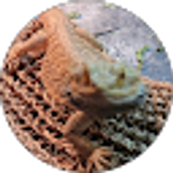 Profile photo of April Higgins