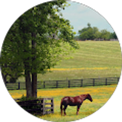 Profile photo of Chase Jones