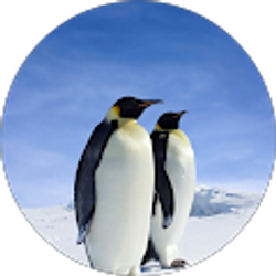 Profile photo of jordannn 1