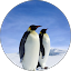 Profile photo of jordannn 1