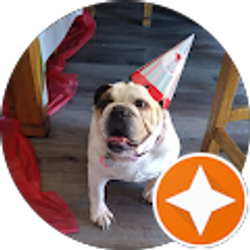 Profile photo of Jessica Hartman