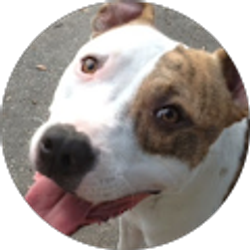 Profile photo of Jode Burkett