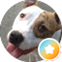 Profile photo of Jode Burkett