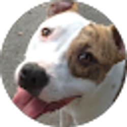 Profile photo of Jode Burkett