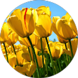 Profile photo of Emmaline Cunningham