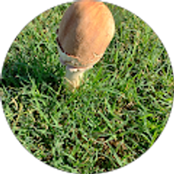 Profile photo of Mei Ouyang